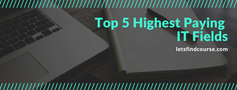 Top 5 Highest Paying IT Fields